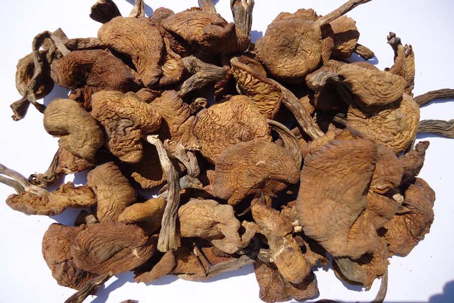 东北特产榛蘑菇小鸡炖蘑菇无根干货榛磨榛蘑丁食用菌500g