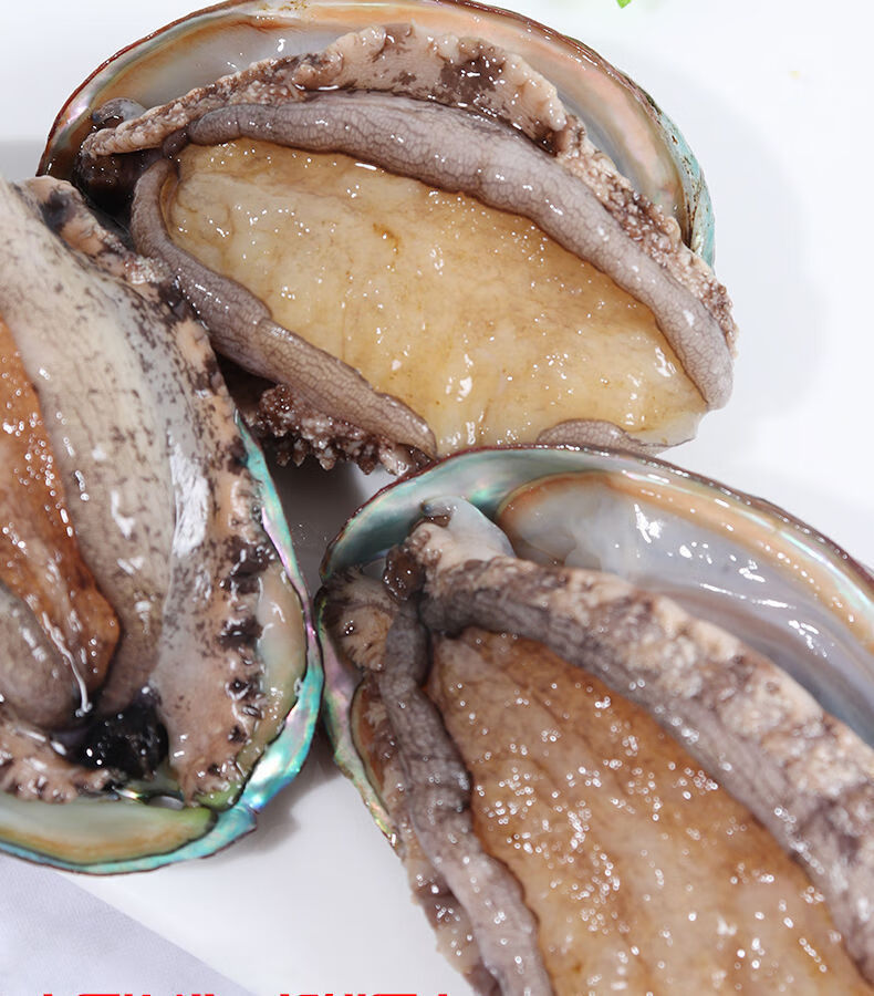 京东生鲜 鲜活鲍鱼大号鲍鱼8/9头大鲍鱼贝类海鲜水产超大活体鲍鱼 十