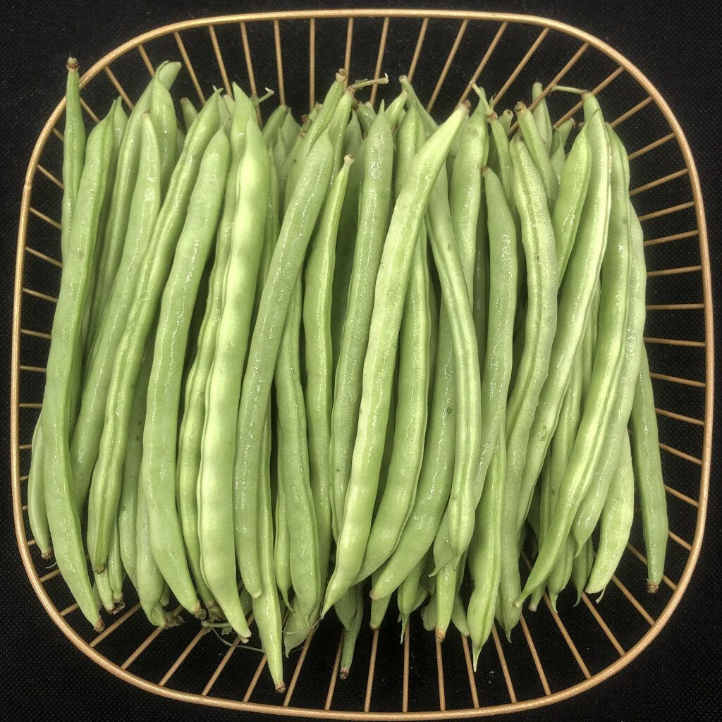 48小时发货新鲜脆嫩广东四季豆现摘现发无筋豆应季蔬菜批发嫩豆芸豆