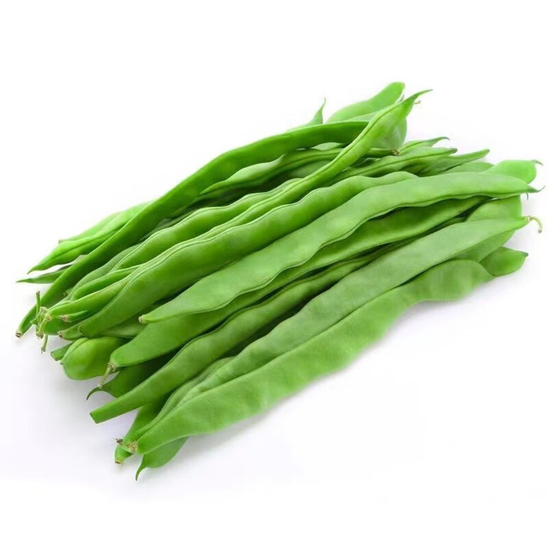 媚调 扁豆角新鲜扁芸豆豆角四季豆刀豆新鲜蔬菜农家种植现摘 现摘现发