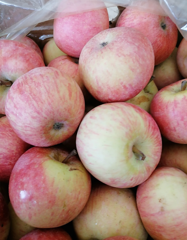 zxc北京平谷小国光苹果怀旧国光酸甜苹果脆苹果丑装60mm含65mm不含