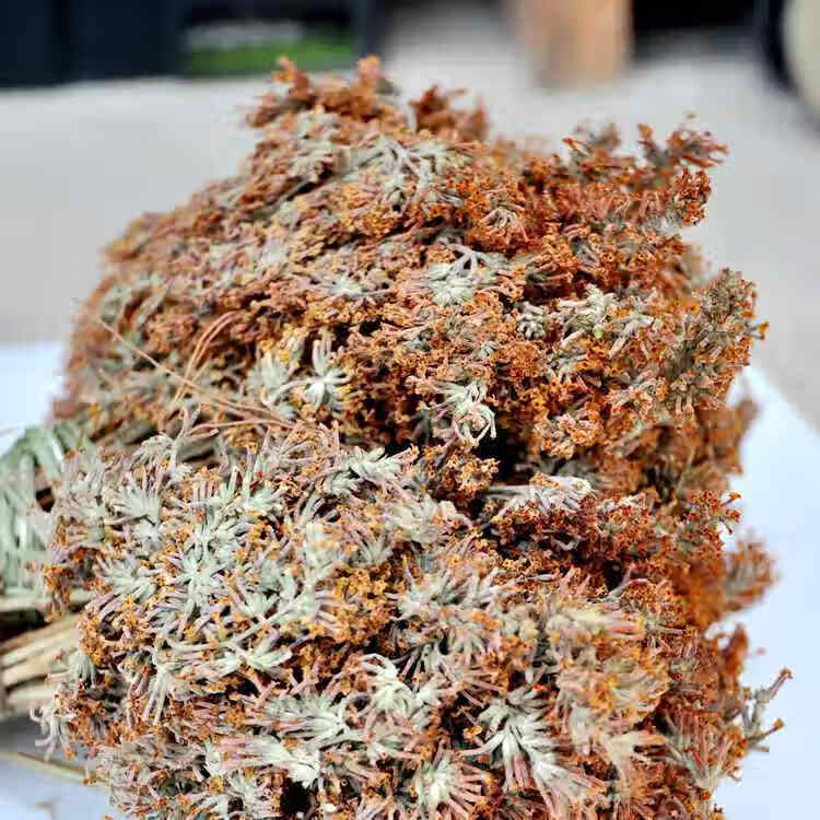 有仁堂染饭花 密蒙花 植物黄香花 云南密蒙花茶 五色米七彩米染料 500