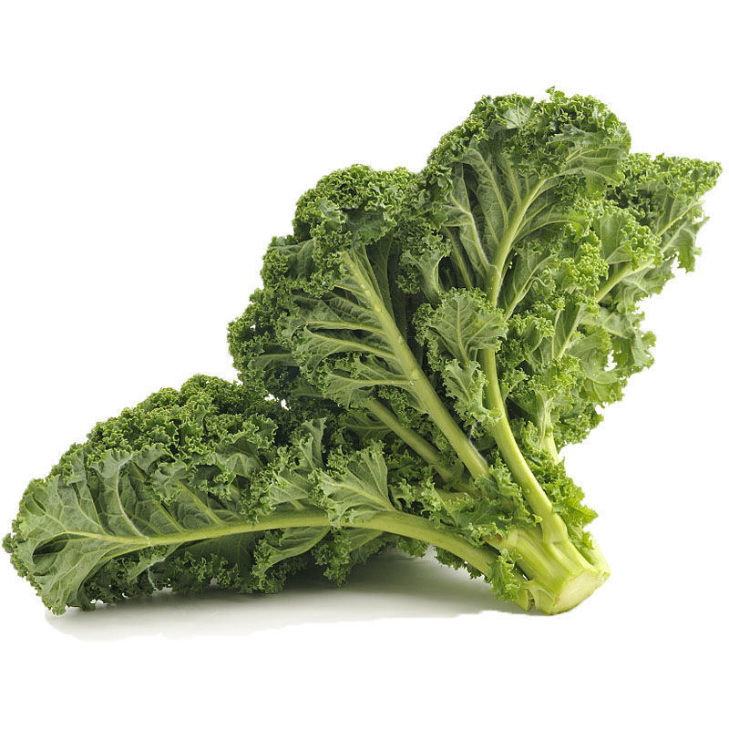 适用于 【千牛优福】羽衣甘蓝kale新鲜蔬菜嫩叶健身减脂榨汁蔬菜 食三
