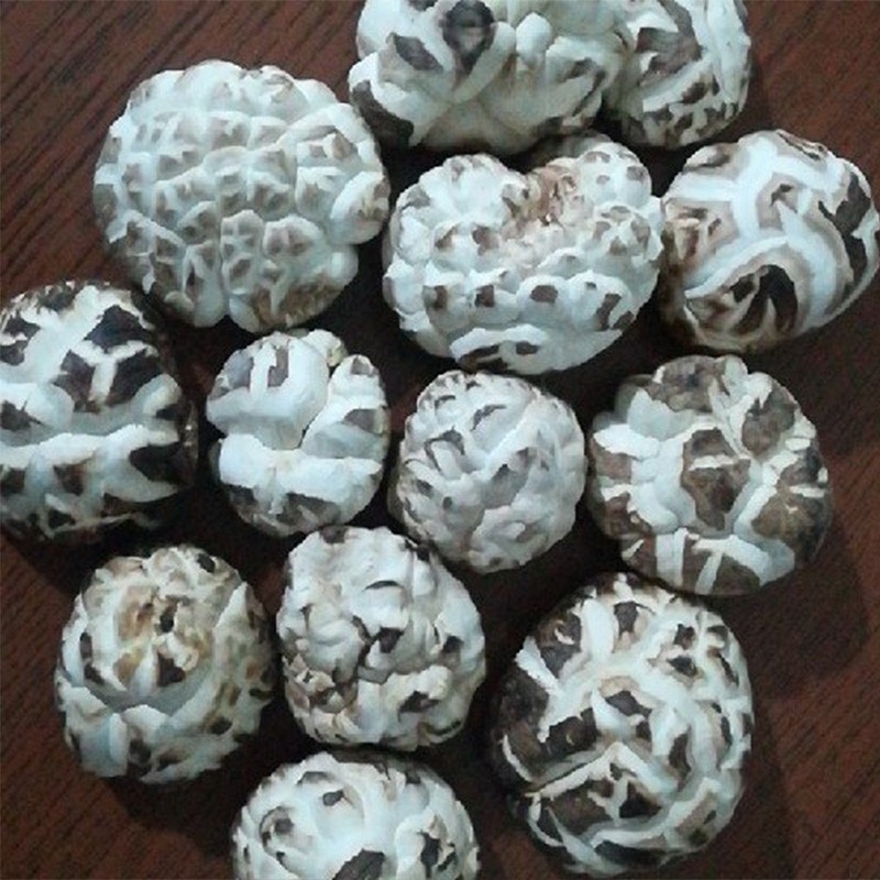 侯马特产 干花菇 同城自提价 干花菇