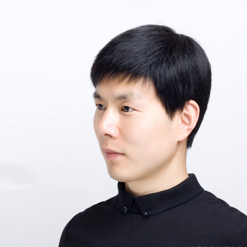 男假发真发男中老年假头发套帅气短发毛寸平头男士发丝 黑色 发网