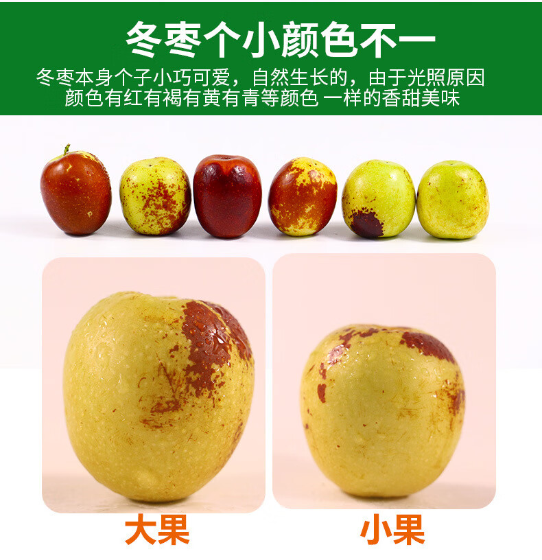 山东新鲜5斤脆枣应当季枣子整箱鲜枣青枣大枣鲜冬枣酷果汇 1500g
