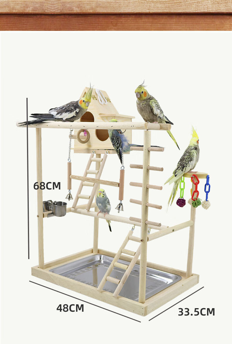 宠乐见抖音同款夏季必备大号鹦鹉互动游乐场鹦鹉训练站架小太阳和尚