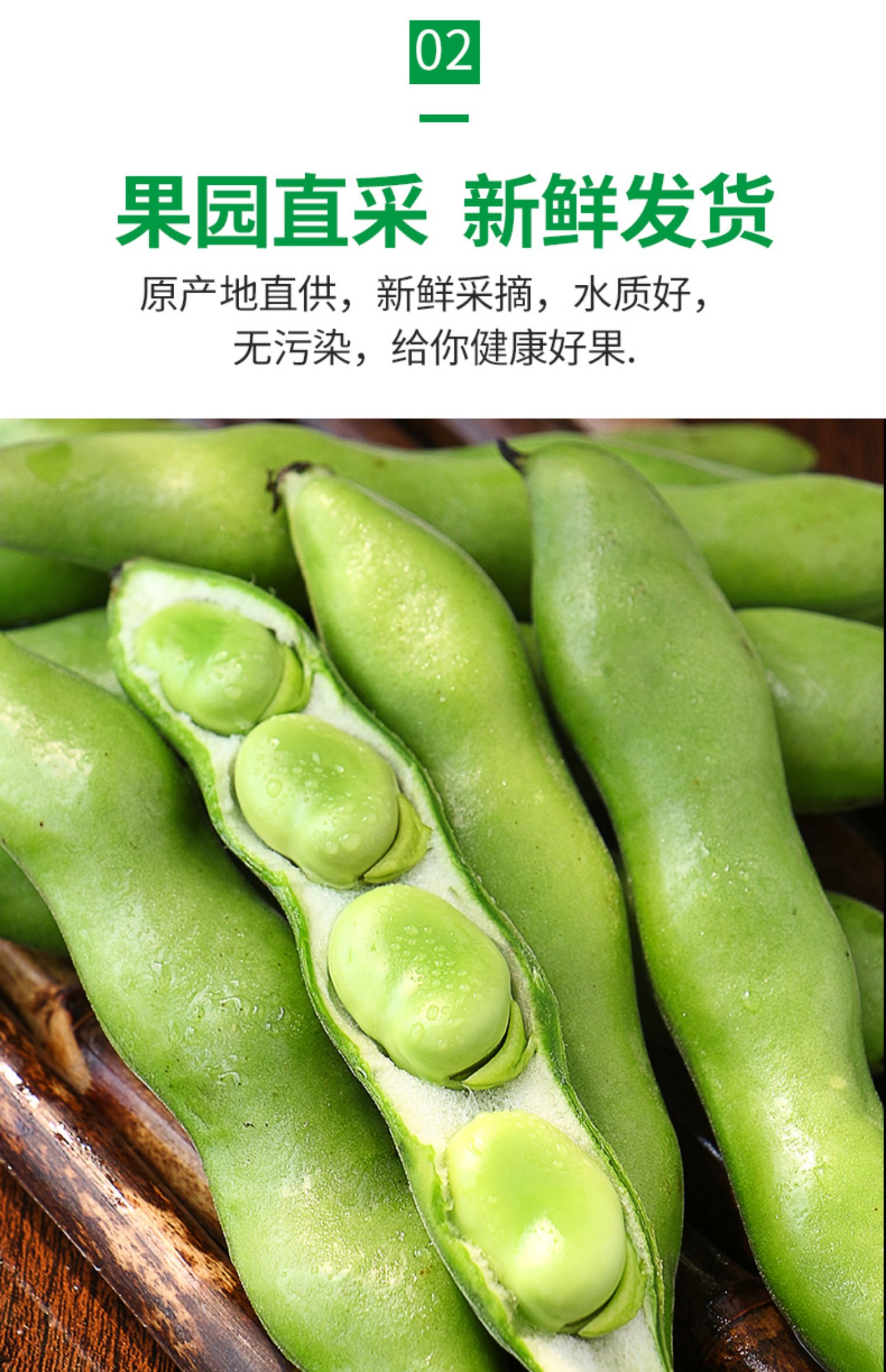 恬女神新鲜云南蚕豆米带壳本地生蚕豆5斤装批发小胡豆当季蔬菜10斤