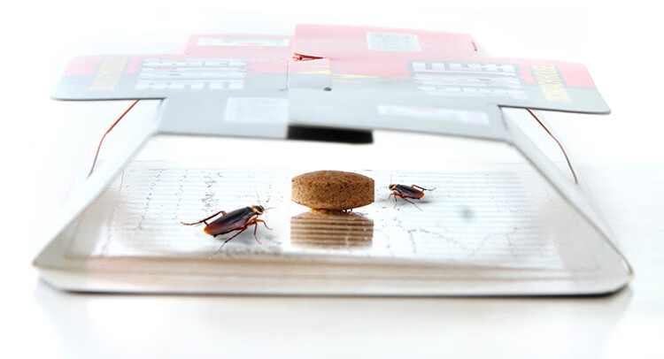 2022年新款3个装蟑螂屋灭蟑螂诱捕器蟑螂粘板捕捉器除灭蟑螂窝端