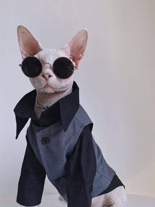 无毛猫衣服斯芬克斯猫德文秋冬英伦风礼服结婚西装衬衫套装宠物 黑色