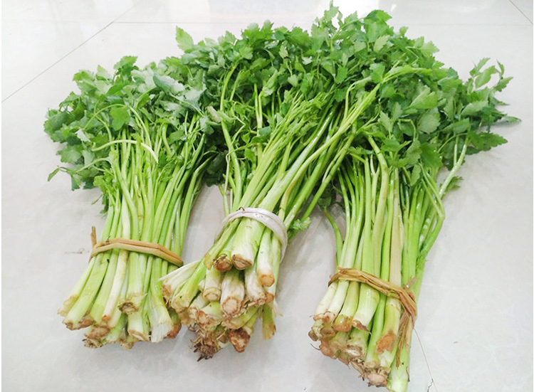 现摘新鲜水芹菜清香河芹山芹菜野芹香芹野蔬菜 1.