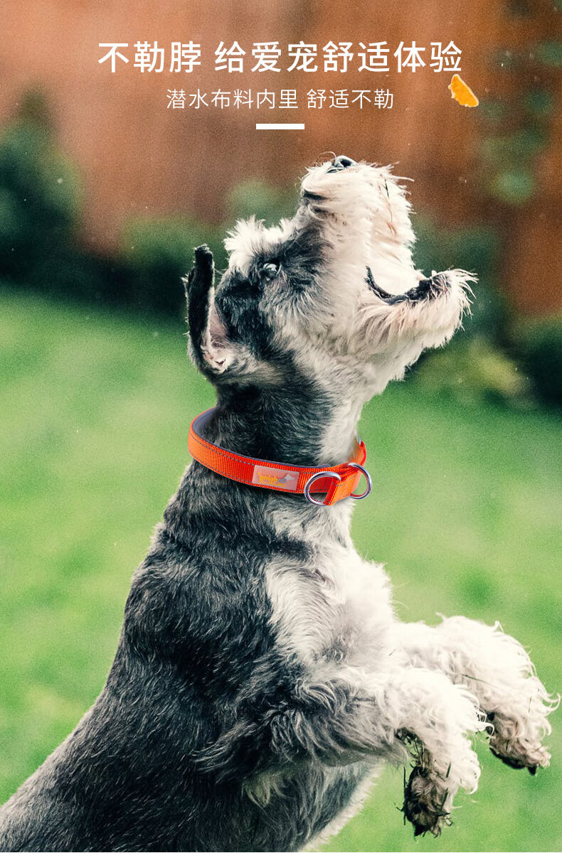 优贝卡狗颈圈脖圈宠物小狗大型犬大狗宠物用品泰迪牵引狗狗项圈 橙色