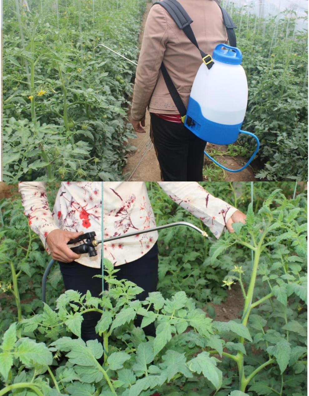 黄瓜电动喷花授粉器 番茄西红柿电动喷花器智能点花器黄瓜沾花器大棚