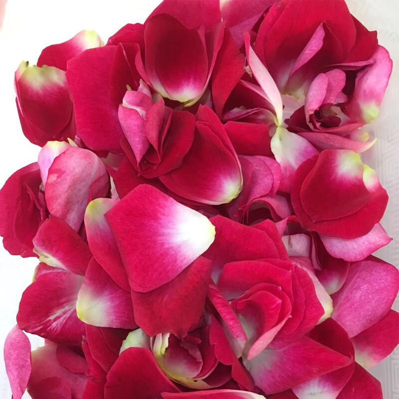 农美华 新鲜玫瑰花花瓣 花酒店摆盘装饰 约180瓣/盒