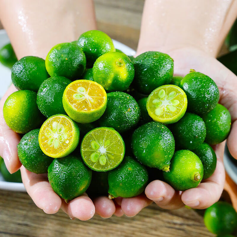 预售果园现摘海南青金桔小金桔青桔新鲜青皮桔子整箱15斤装普通中小果