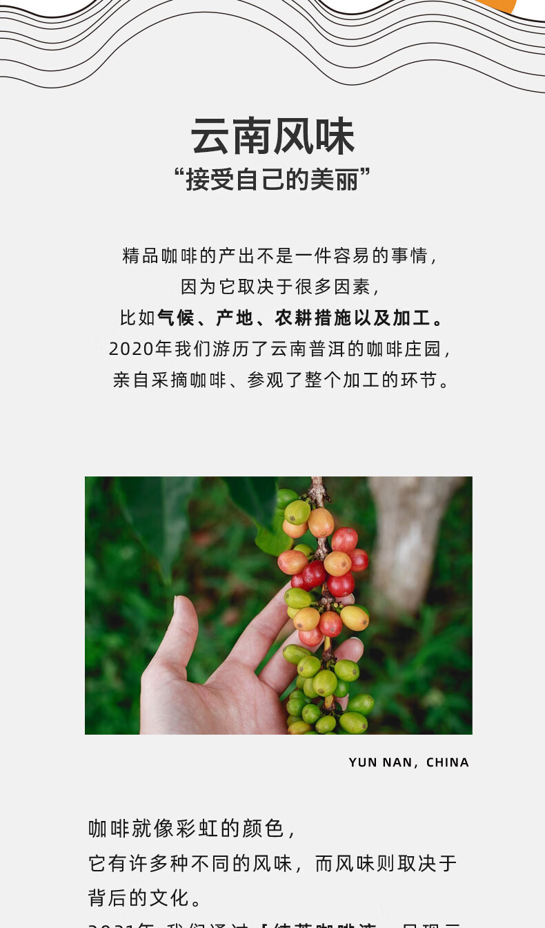 pagelab佩植纯粹黑咖啡液美式意式香草拿铁精品冷萃咖啡浓缩速溶意式