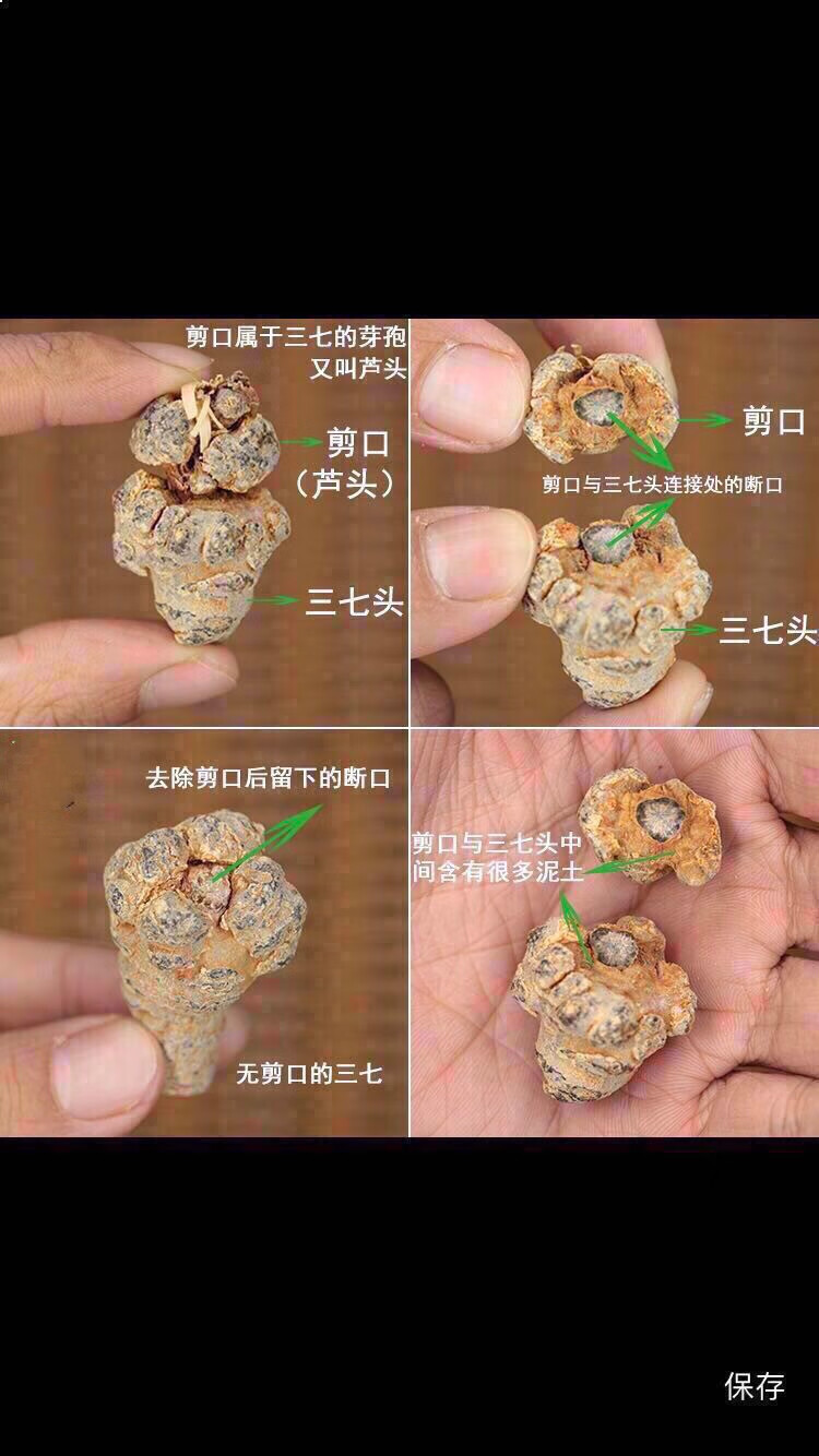 云南文山三七头18头20头30头特大500克田七可打粉 35头35个无剪口