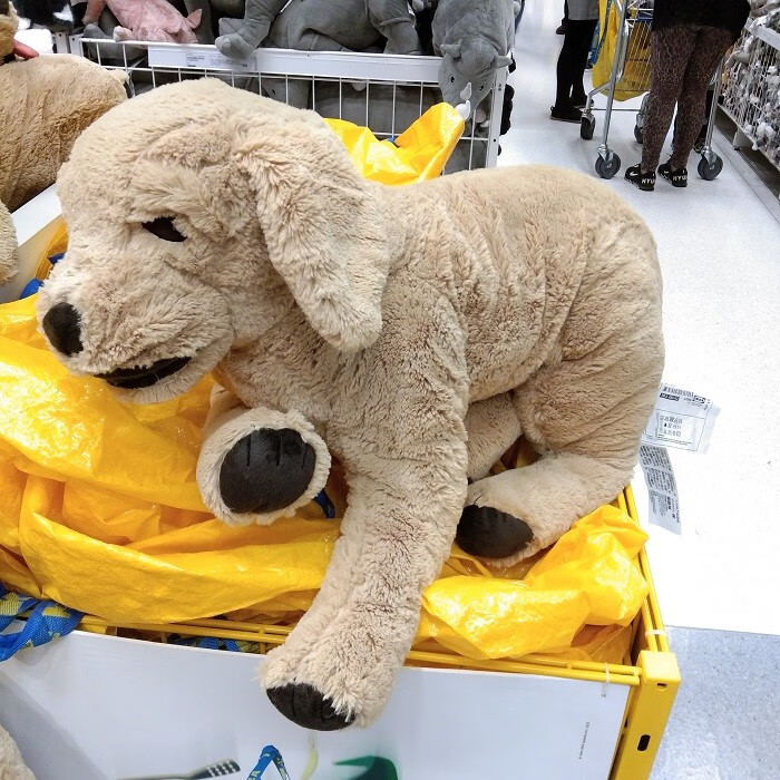 ikea宜 家小狗古西格格登毛绒玩具狗金毛寻回犬kimi小黄大黄儿童礼物