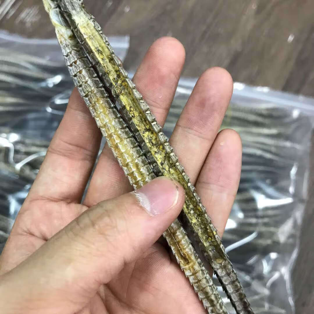 男人滋补 海龙大海龙海鲜干货大刁龙可搭配海马干货中药材公母 泡酒