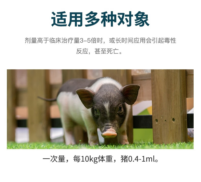 sumu兽药乙酰甲喹兽用注射液痢菌净止痢腹泻拉稀黄白痢细菌性肠炎10支