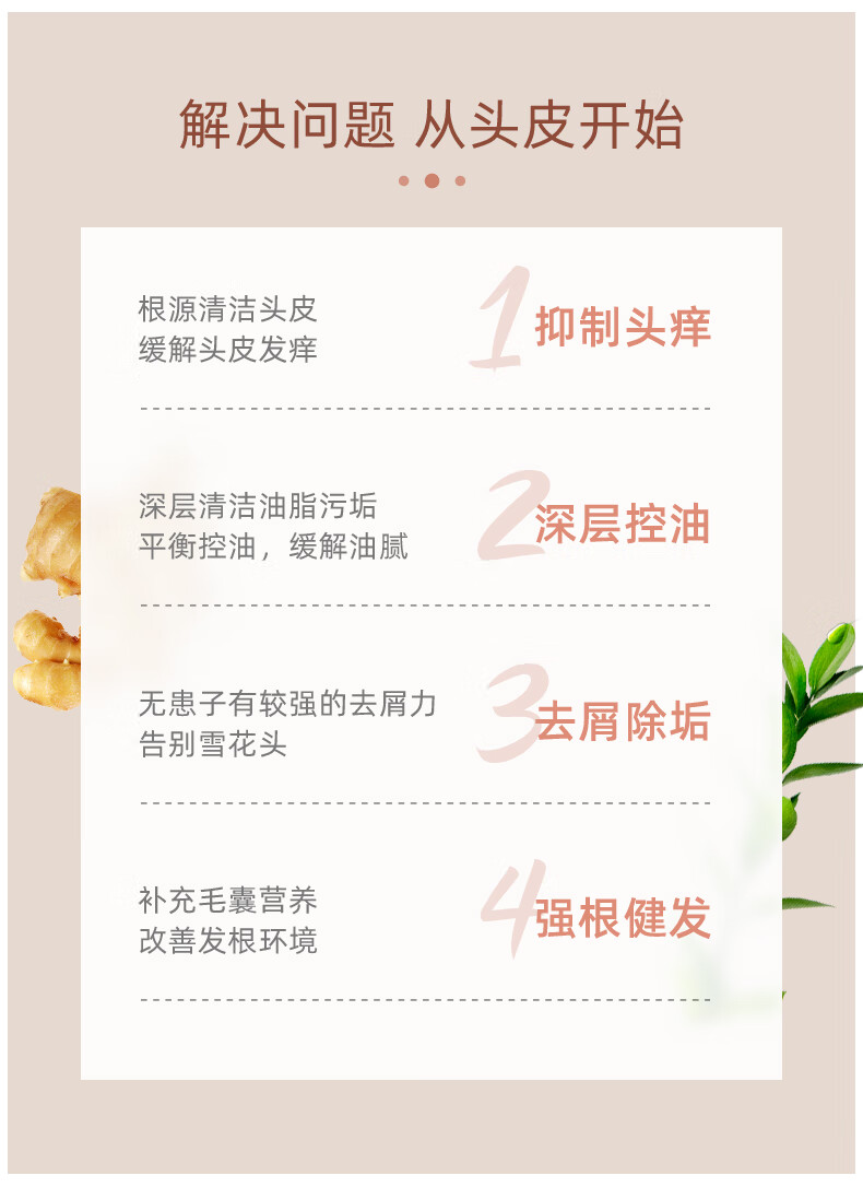 霸王 生姜洗发水 600ml*2瓶 图4