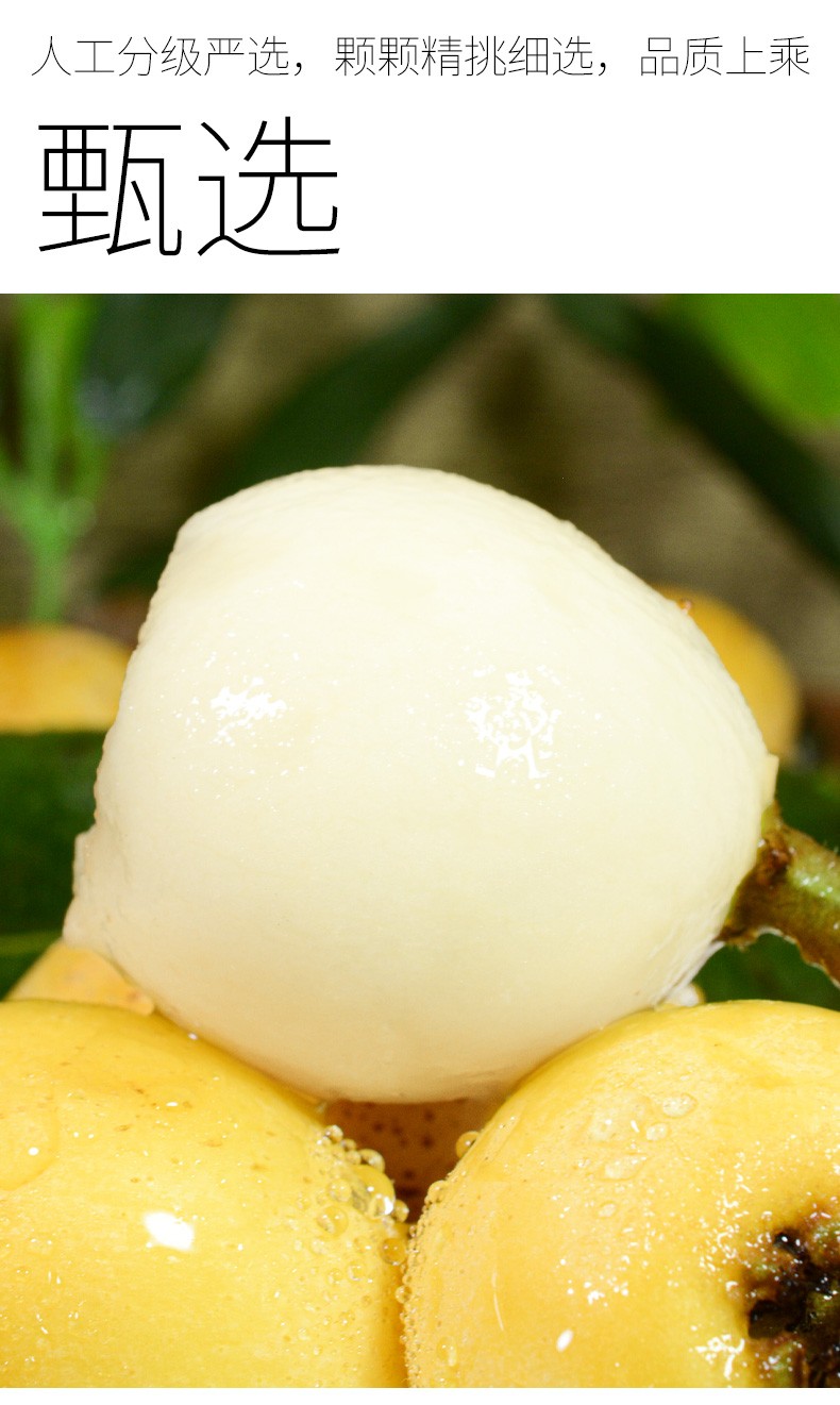浙江贵妃白玉枇杷新鲜当季送礼水果枇杷孕妇白沙白梨大果水果稀有品种