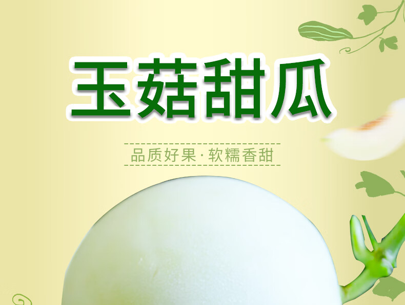 仁者无敌玉菇甜瓜冰淇淋香瓜甜瓜当季新鲜水果 现摘现发 5斤精选中果(净重4.5-5斤)