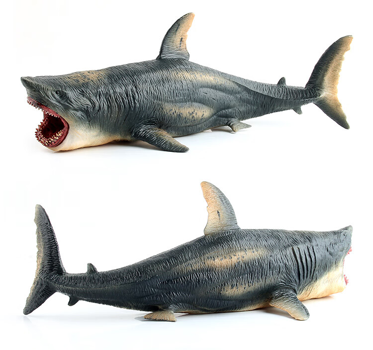 澄可 儿童海底动物模型仿真鲨鱼玩具海洋生物远古巨齿鲨模型大白鲨