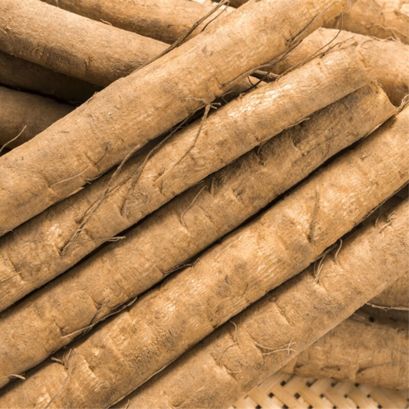 新鲜牛蒡根徐州养生蔬菜黄金牛蒡茶原料牛棒根旁榜鲜牛膀磅根3斤