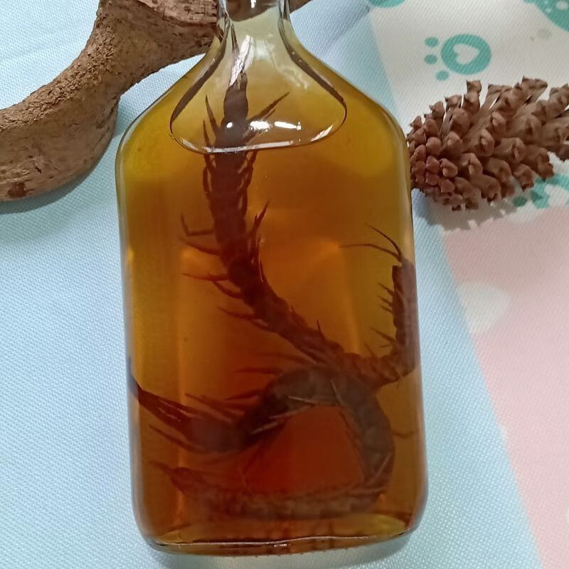 深山老蜈蚣酒活泡蜈蚣药酒斤装2条蜈蚣陈年【图片 价格 品牌 报价】