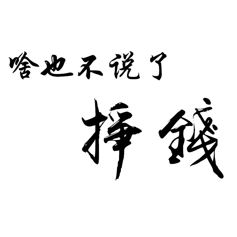 润华年 汽车贴纸啥也不说了挣钱网红流行车门后挡风玻璃个性励志 挣钱