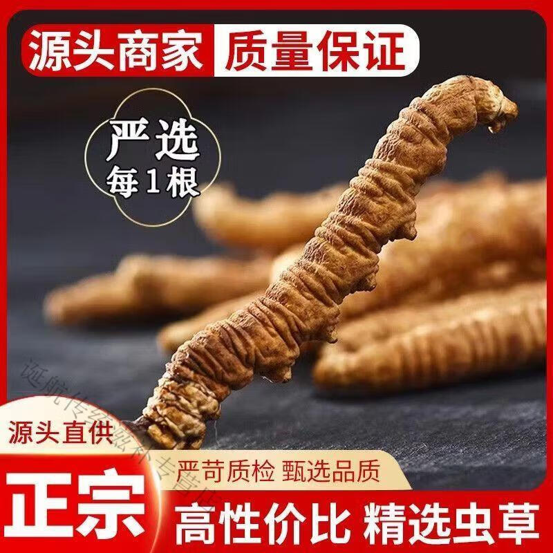 b5dfe828bd1f515f.jpg