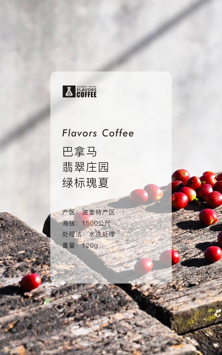 凑味精品咖啡巴拿马翡翠庄园私人珍藏绿标瑰夏现磨手冲咖啡豆粉120g