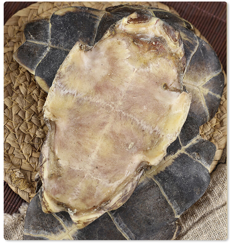 龟板中药材 生龟板 龟甲中药 龟下甲龟底板正品新货 50克【图片 价格