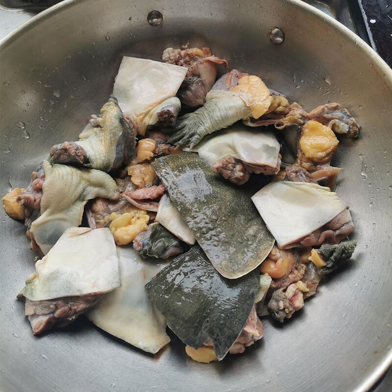 现杀甲鱼鲜活甲鱼甲鱼活体食用王八小甲鱼苗王八老鳖滋补宰杀净重1315