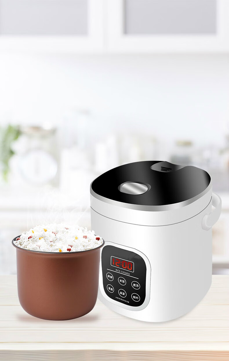 车载电饭煲车家两用电饭锅24v货车用品神器12v车用自驾游做饭电锅16l