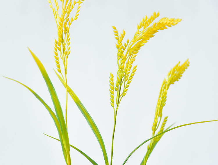 水稻穗塑料花假花摆件麦穗装饰干花花束大麦客厅摆设 一枝仿真麦穗