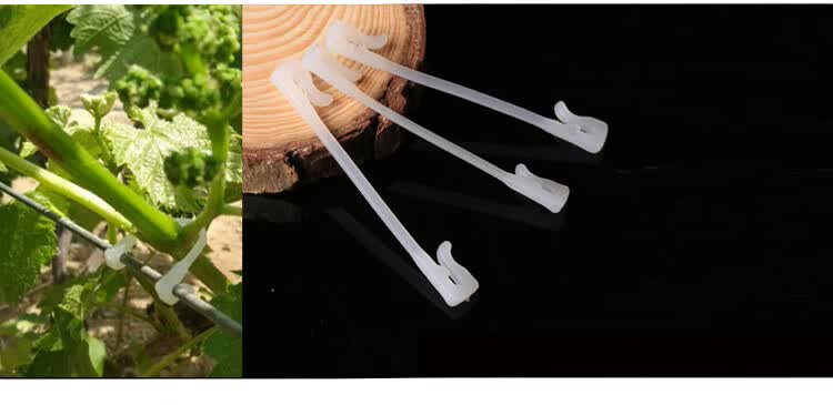 葡萄绑枝卡猕猴桃绑枝卡扣卡扣挂钩新式塑料挂钩卡扣 葡萄树绑枝 6