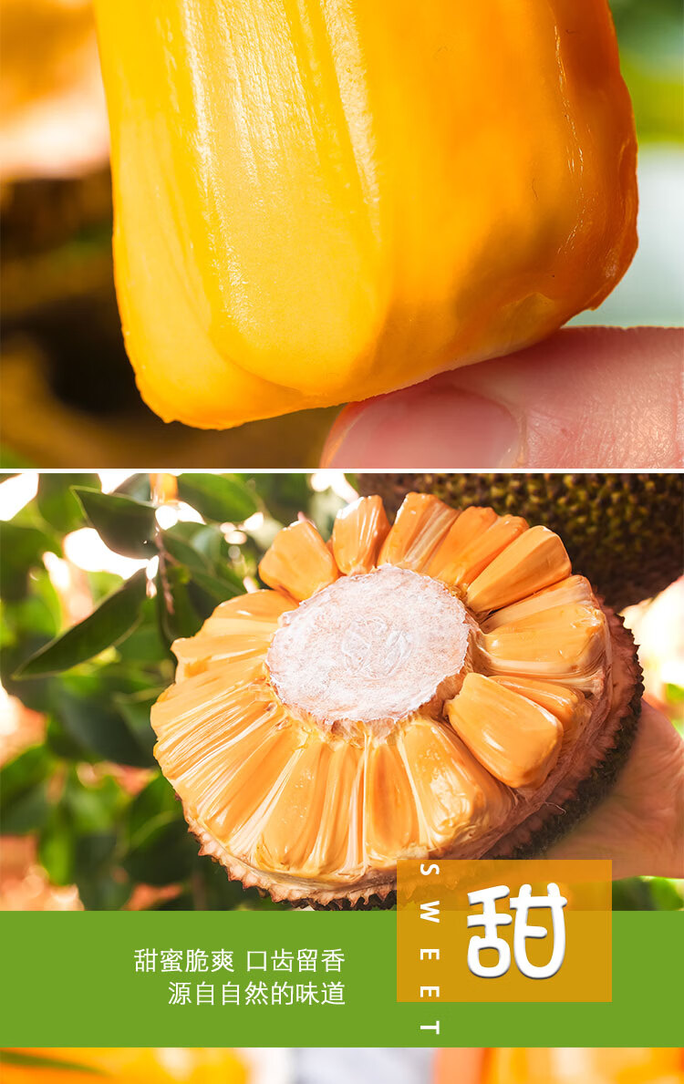 红肉菠萝蜜530斤当季新鲜水果红心波罗蜜整箱整个2125斤十年老树超值