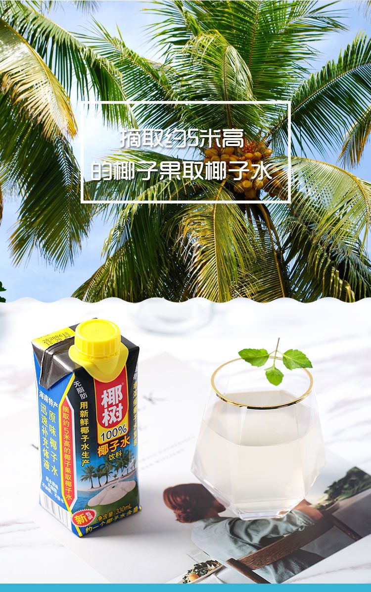 海南特产纯椰子水果味饮料利乐包装整箱 330ml*15瓶【图片 价格 品牌