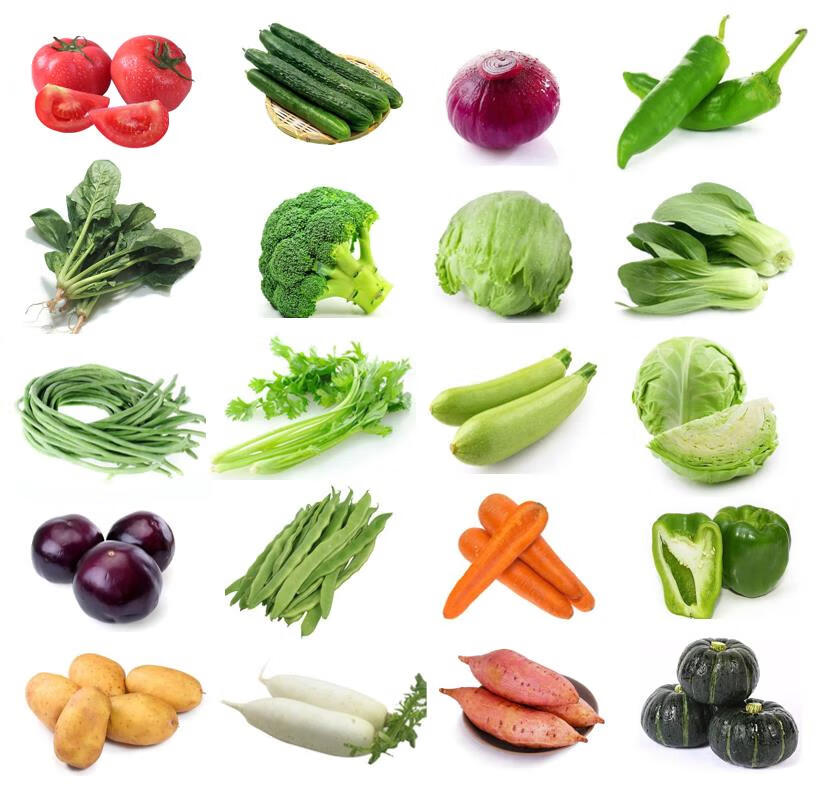 日常蔬菜种类大全图片图片
