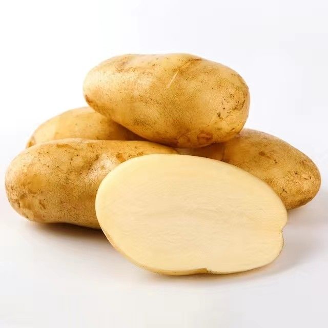 贵州特产威宁黄心洋芋高山土豆马铃薯当季新鲜农家自种精选大果 土豆5