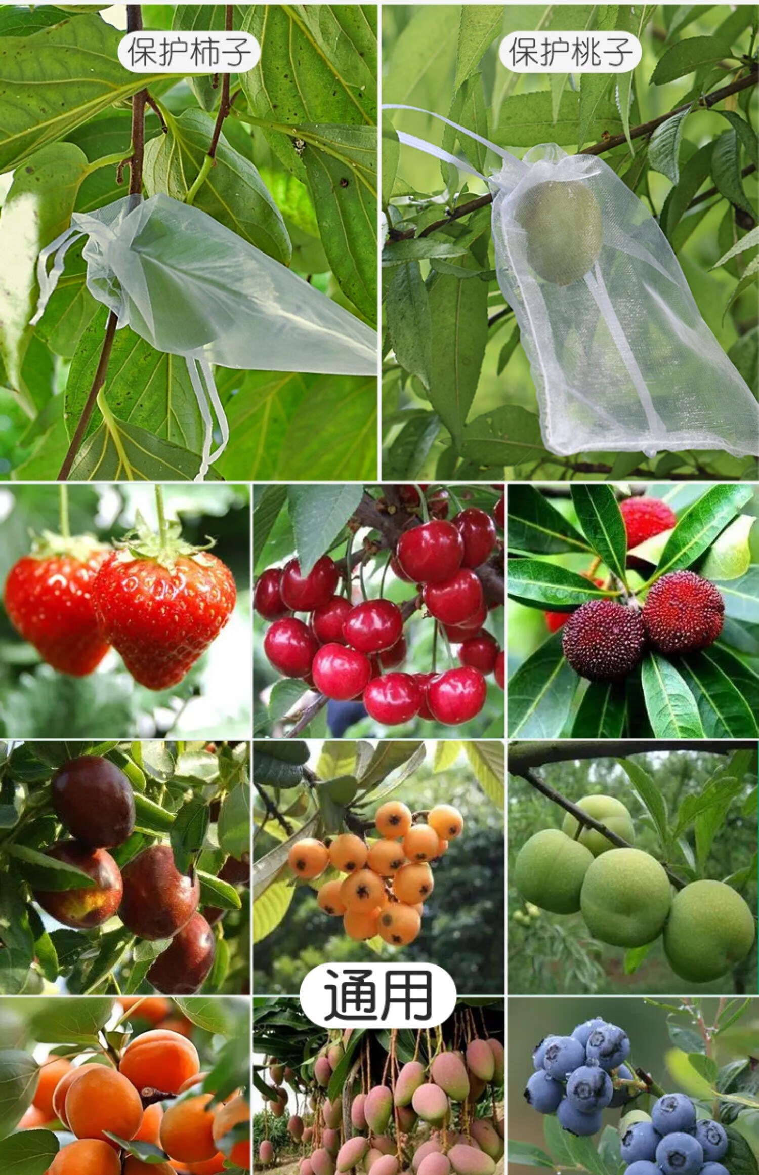 水果套袋果树防鸟防虫专用纱网袋葡萄无花果番石榴保护芒果桃袋子 30