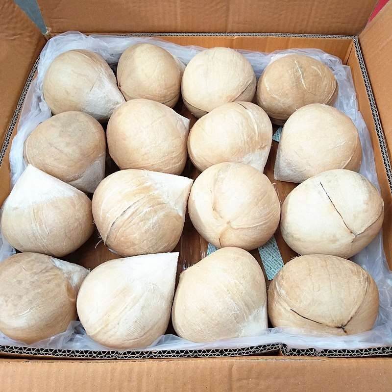 新鲜泰国进口椰皇大果泰国牛奶椰皇甜品店椰子鸡商用椰子椰青超大4个
