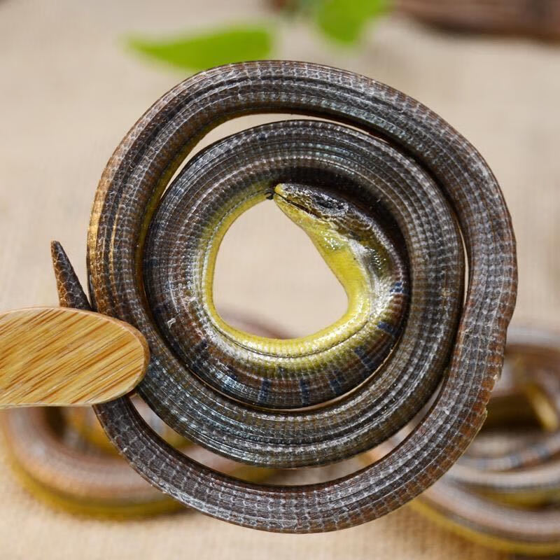 脆蛇 碎蛇 翠蛇 中药材 山黄鳝地鲜整盘无断节 10克 50克