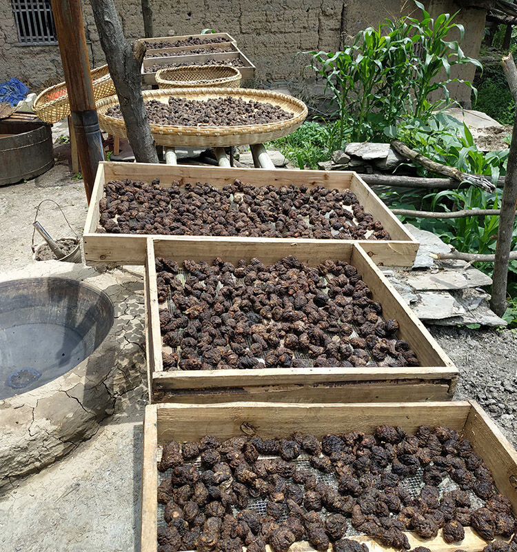 熟地500克特级熟地黄中草药九蒸九晒野生怀地黄补血贫血煲汤泡酒熟地