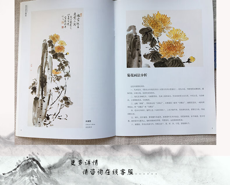 菊花画法解析中国画艺术经典丛书绘画国画技法书籍国画技法国画鉴赏