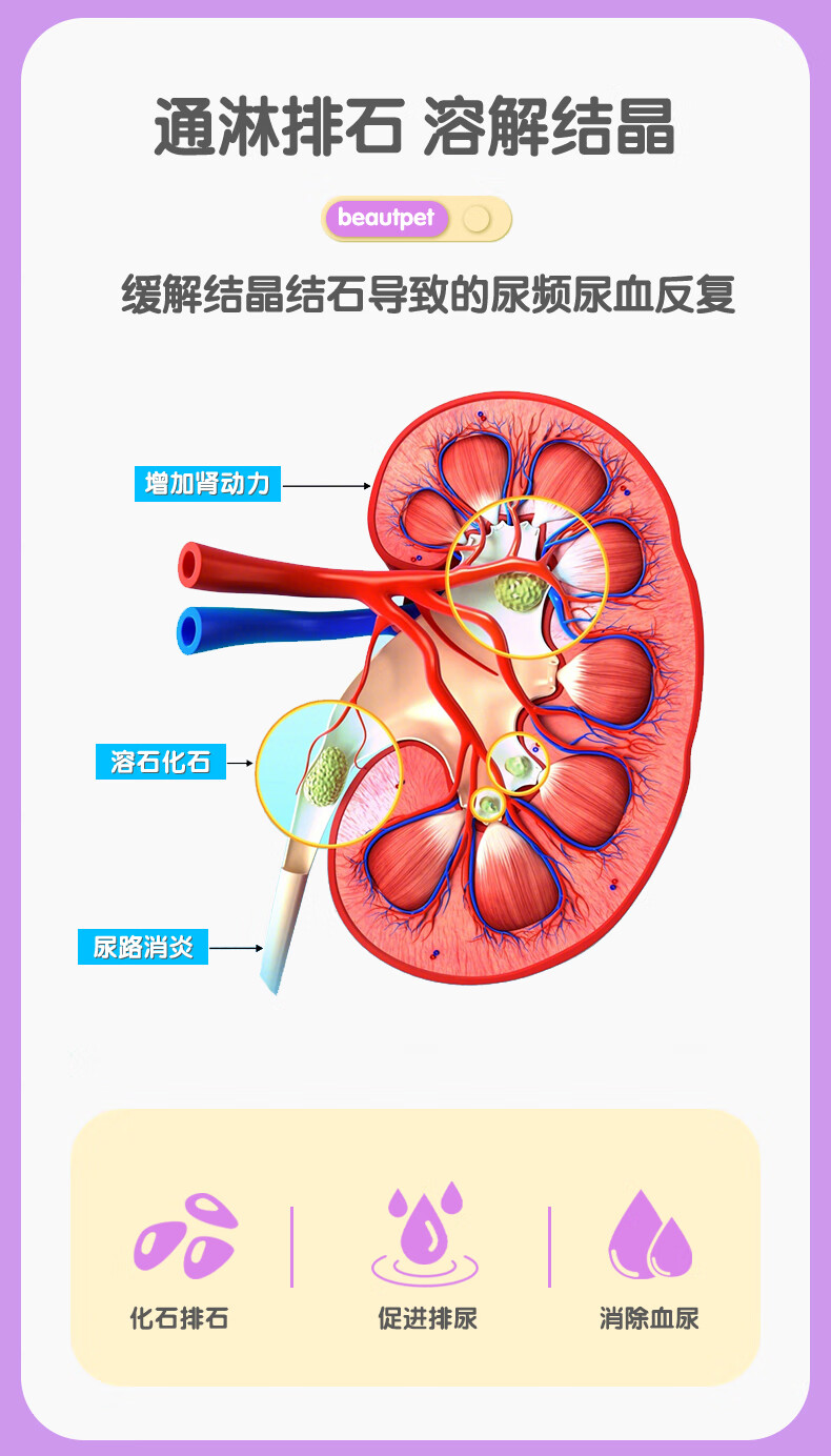 尿頻膀胱炎尿痛尿道炎血尿排尿不通暢泌尿系統呋塞米 頭孢羥氨苄片 呋