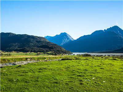 网红直播背景布3d背景布服装拍摄风景仿真背景布蒙古包大草原 卡其色