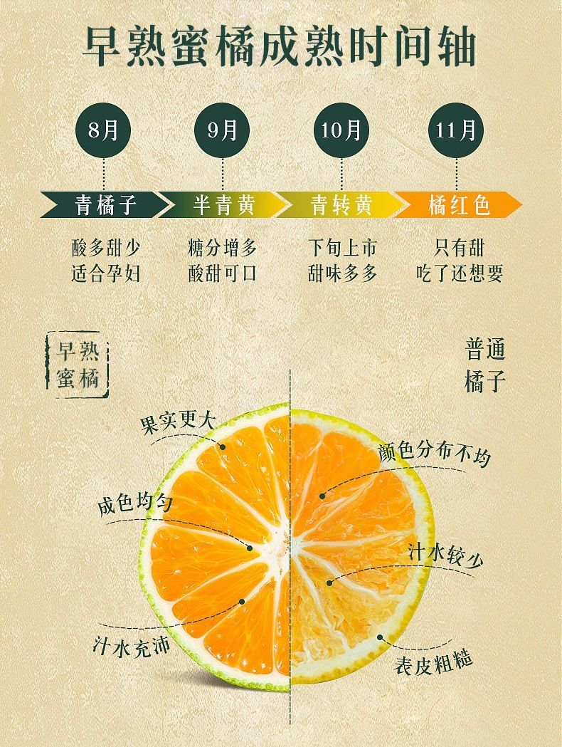 四川青皮蜜桔橘子新鲜水果青皮柑橘子甜橘皮薄多汁多多